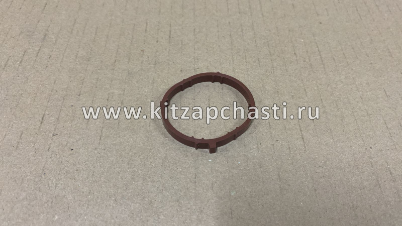 Прокладка впускного коллектора (4G15T) Zotye Coupa 1008111003-B11F