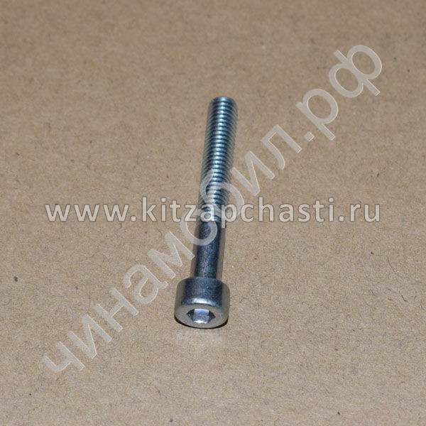 Болт расширительного клапана Chery Tiggo 7 Pro MAX 2024 301000359AA