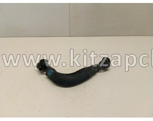 Хомут для шланга маслоотделителя Changan UNI-V H150081900AA