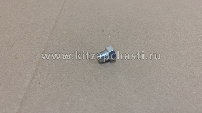 Болт блока цилидров (слива ожлаждающей жидкости) Lifan MURMAN LFB479Q-1002111A